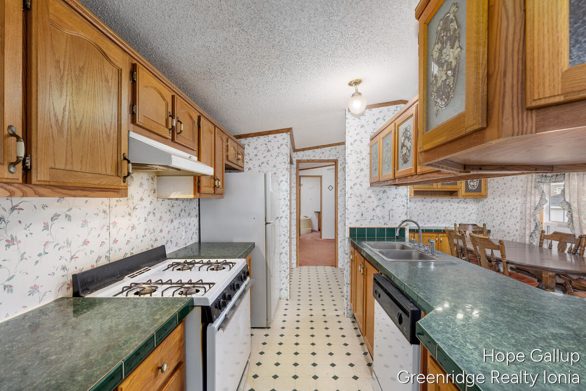 360 East Tuttle Road, Unit 183 Ionia, MI 48846 - Photo 9 of 16