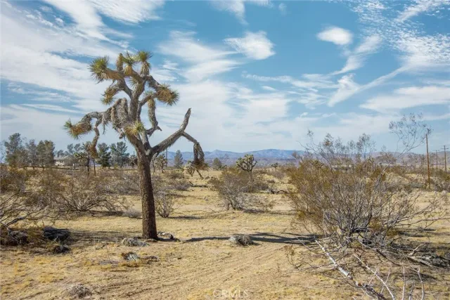 $40,000 | 4 Burke, Landers, CA 92285