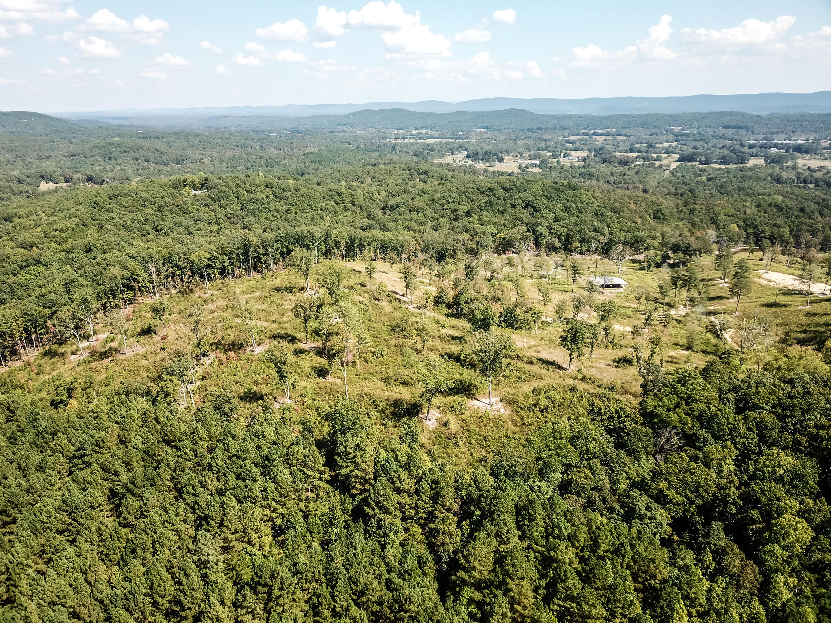 592 Ridgeview Drive Summerville, GA 30747 - Photo 8 of 14 371 Stallion Dr-97