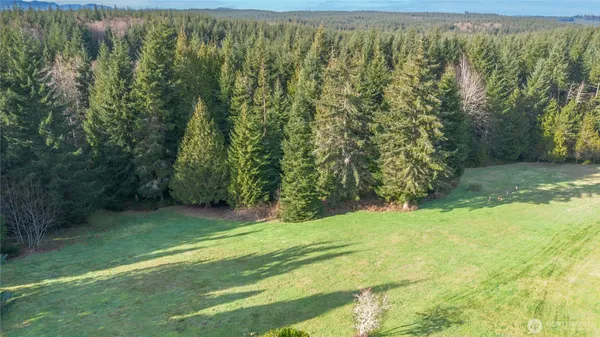 a view of a yard with a trees