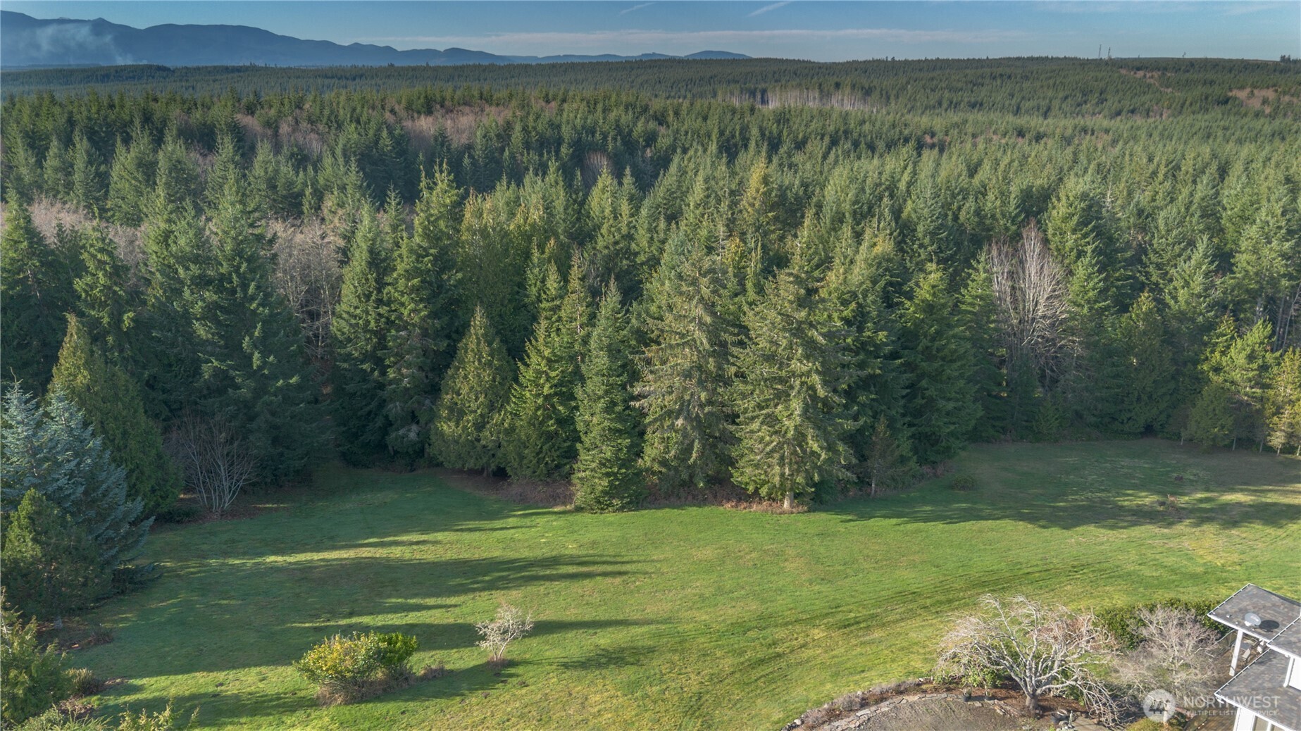 0 Olympic Ridge Drive Port Ludlow, WA 98365 - Photo 16 of 20 a view of a green yard