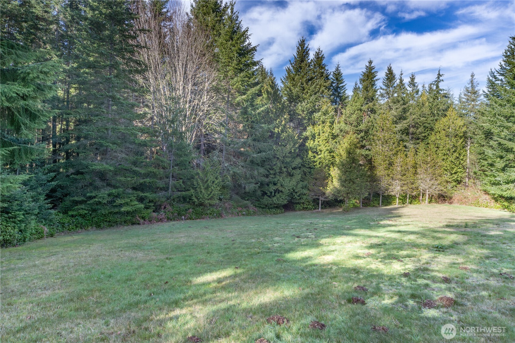 0 Olympic Ridge Drive Port Ludlow, WA 98365 - Photo 17 of 20 a view of a grassy field with trees in the background
