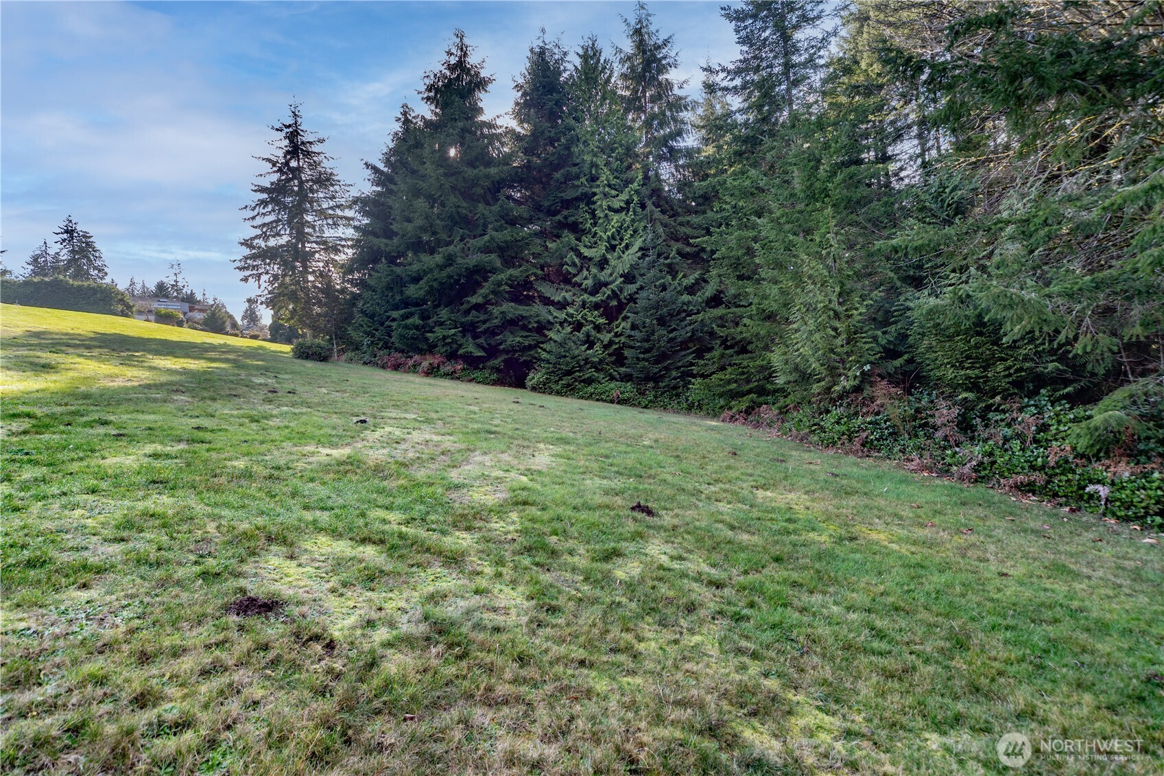 0 Olympic Ridge Drive Port Ludlow, WA 98365 - Photo 18 of 20 a view of a field with an trees in the background