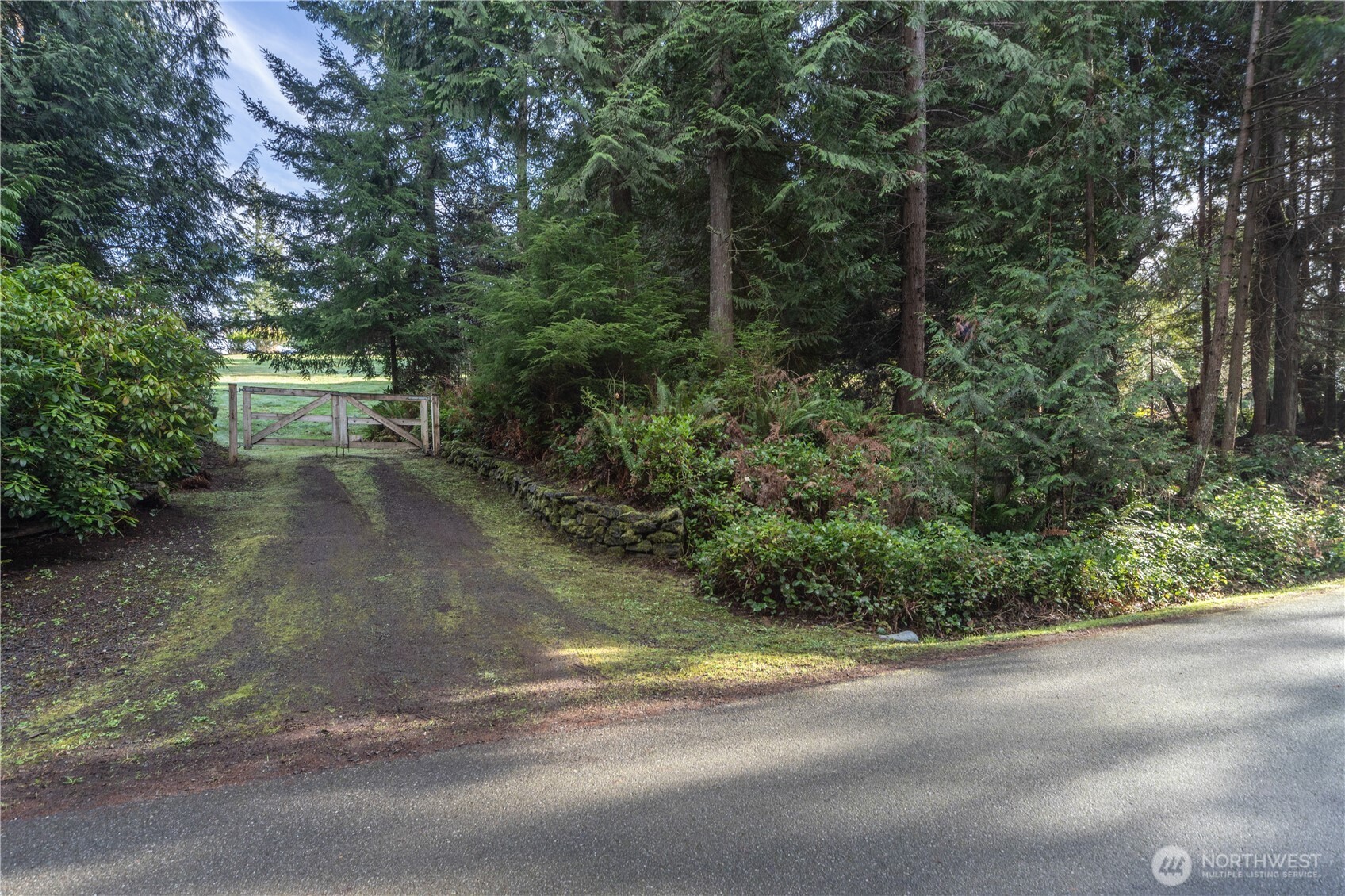 0 Olympic Ridge Drive Port Ludlow, WA 98365 - Photo 2 of 20 a view of a yard with plants and trees