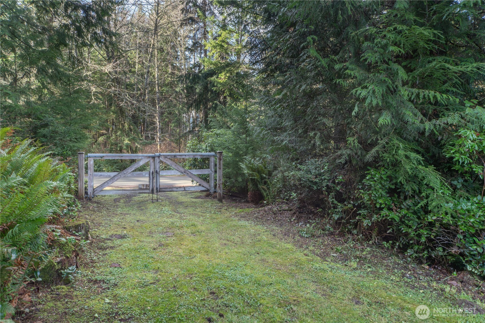 0 Olympic Ridge Drive Port Ludlow, WA 98365 - Photo 4 of 20 a view of a backyard