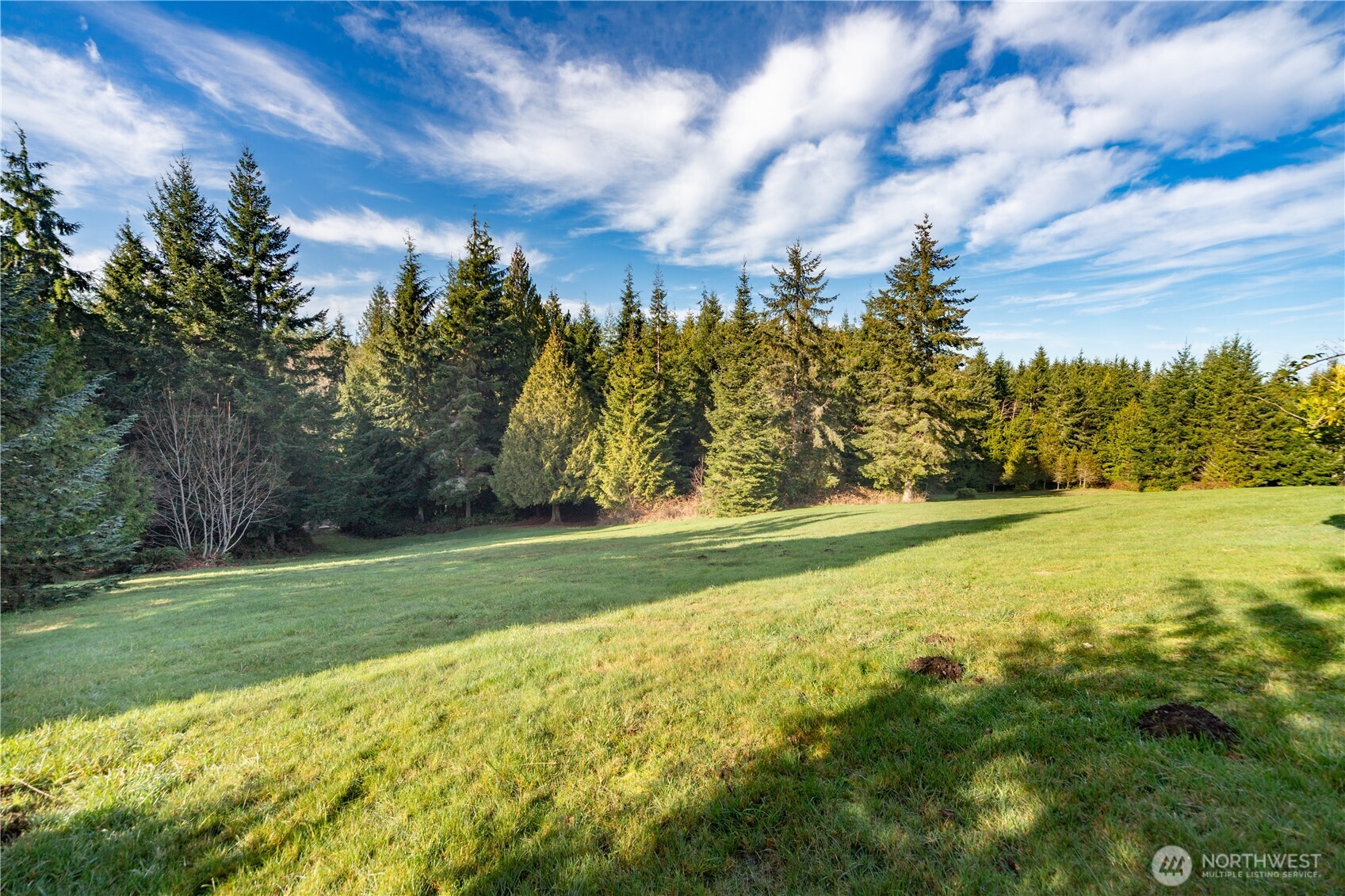 0 Olympic Ridge Drive Port Ludlow, WA 98365 - Photo 9 of 20 a view of a yard with a house