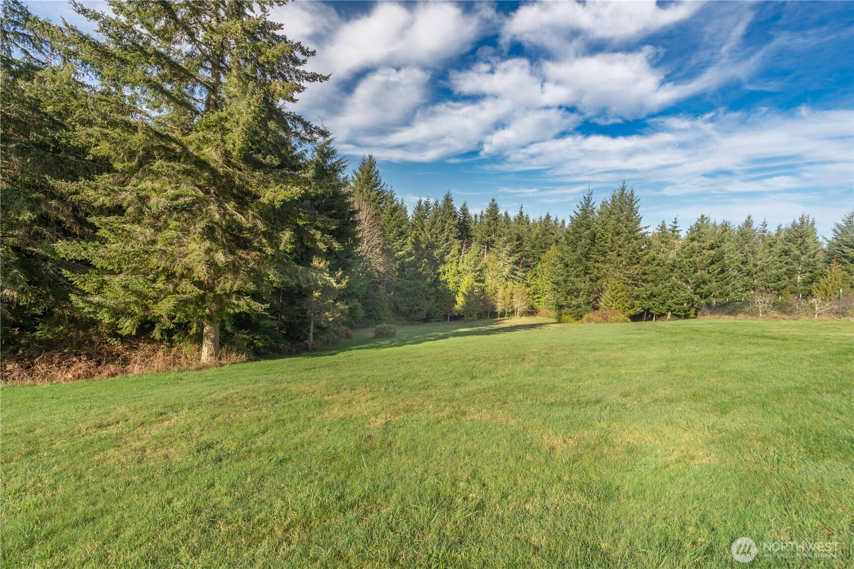 0 Olympic Ridge Drive Port Ludlow, WA 98365 - Photo 10 of 20 a view of field with trees in the background