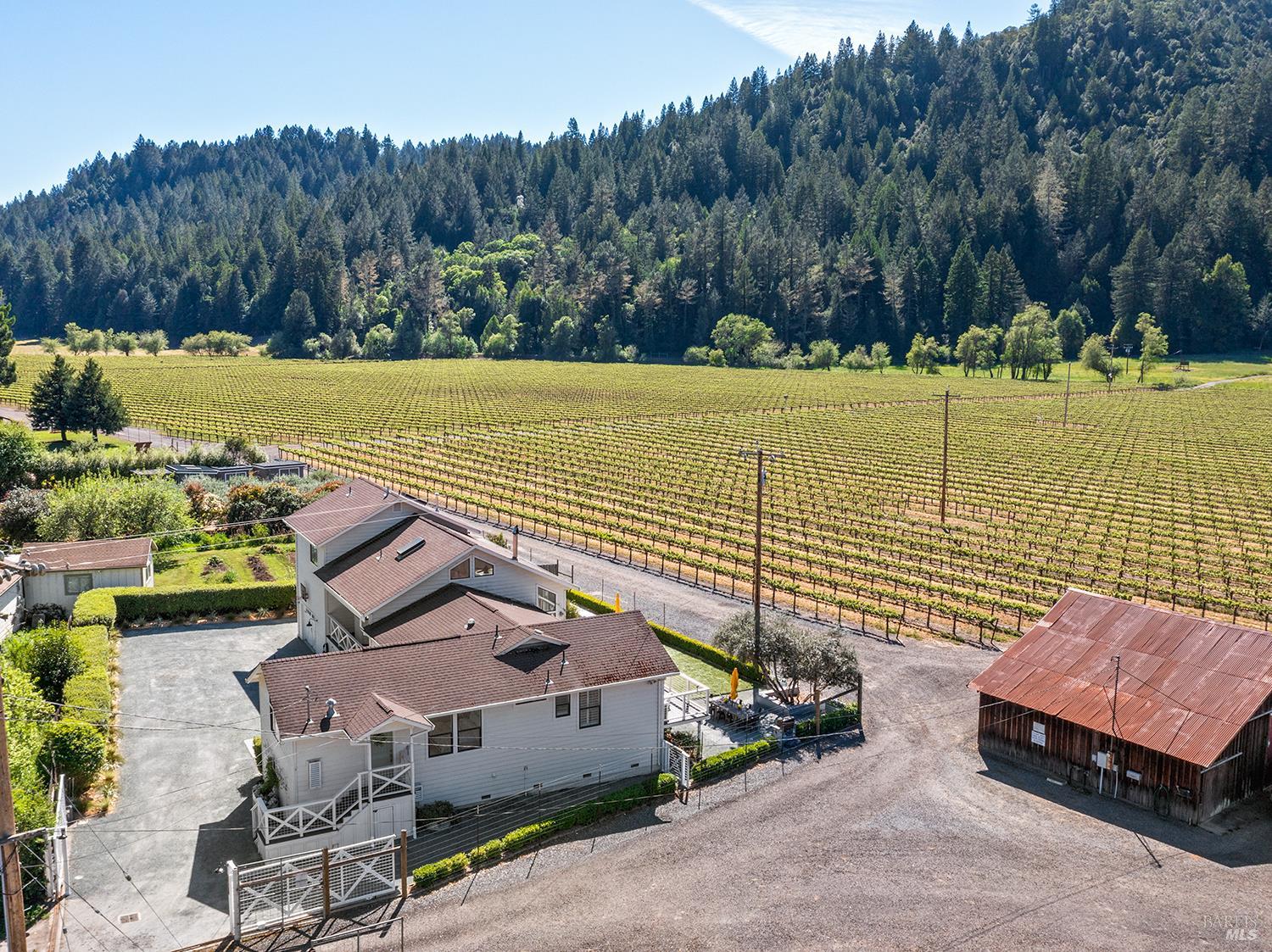 16530 Laughlin Road Guerneville, CA 95446 - Photo 6 of 57 Surrounded on three sides by Korbel vineyards