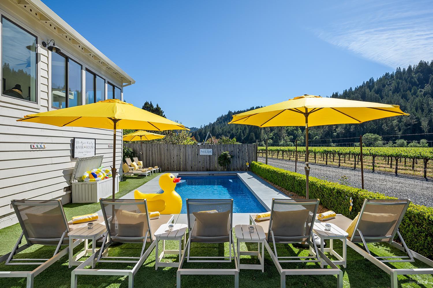 16530 Laughlin Road Guerneville, CA 95446 - Photo 7 of 57 Yellow ducky included