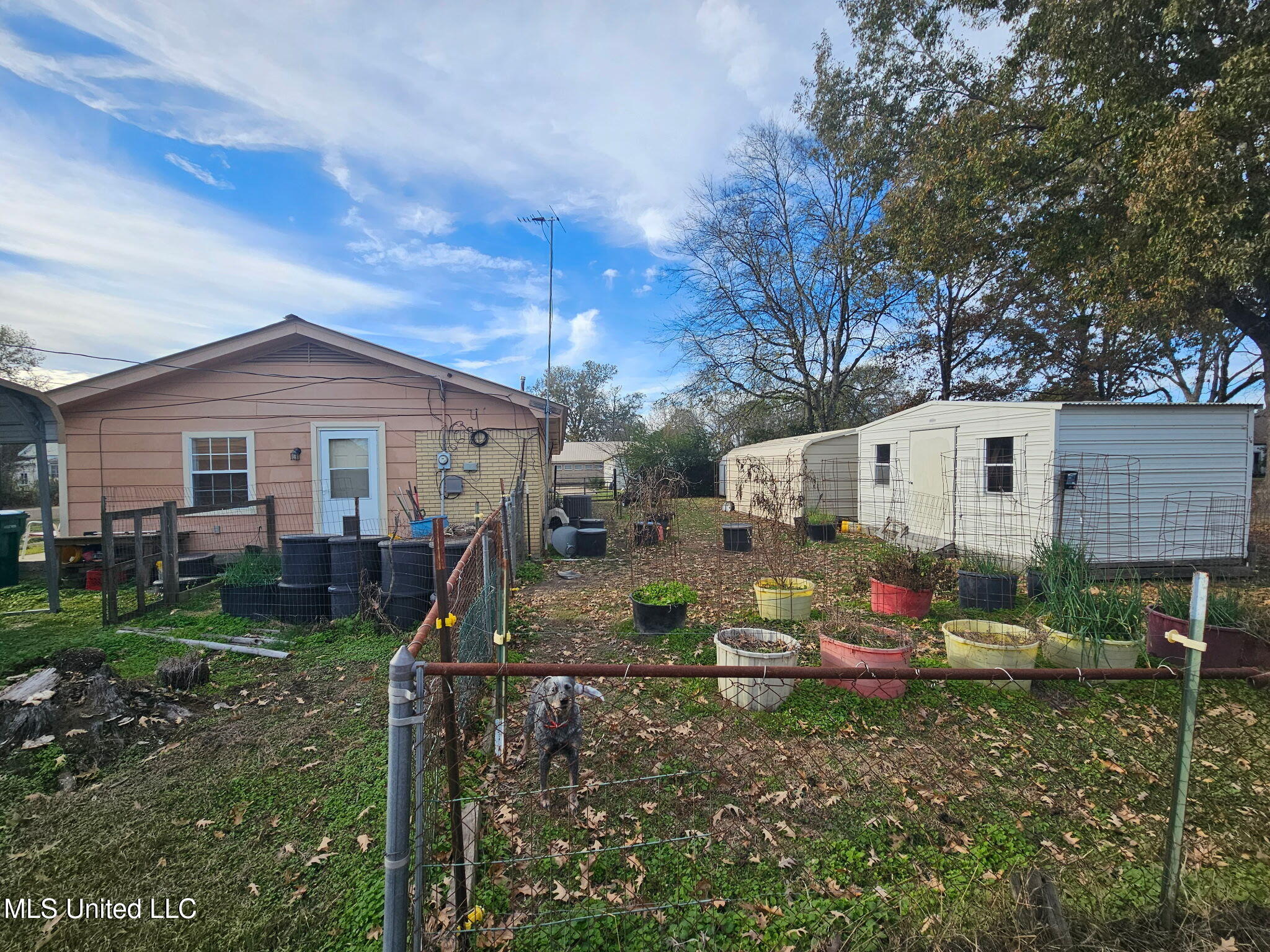 439 West Cedar Street Durant, MS 39063 - Photo 2 of 26 1345649084605940425