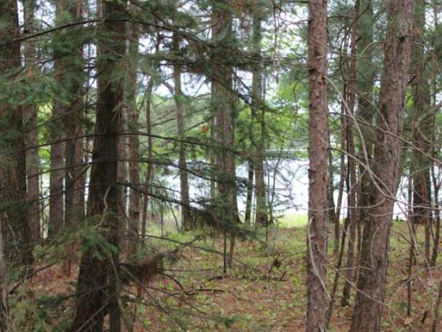 Near Loon Lake Road Eagle River, WI 54521 - Photo 11 of 13 Gallery Image 11