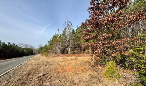 a view of large yard with trees