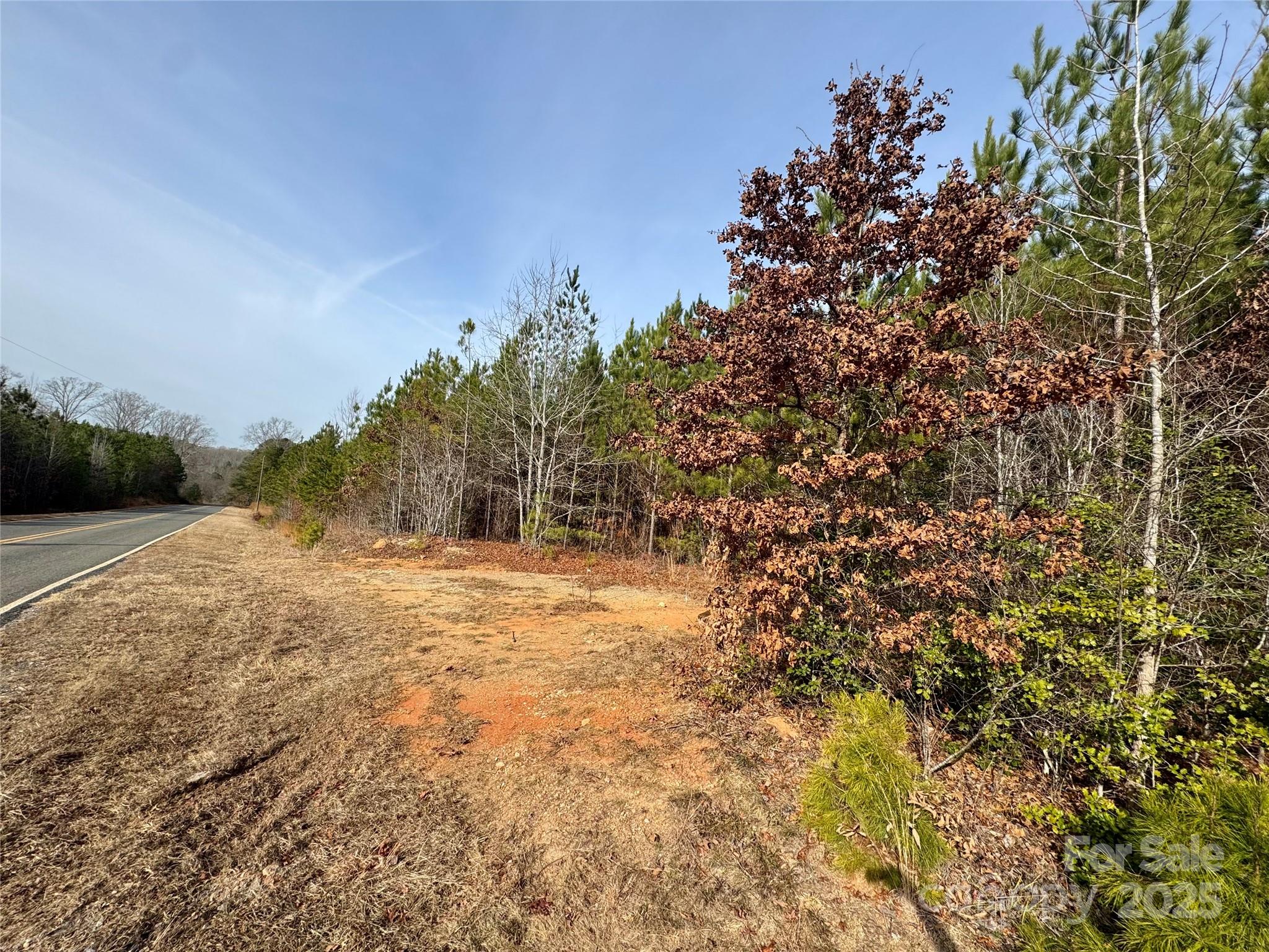 0 Calvary Church Road Mount Gilead, NC 27306 - Photo 3 of 3 a view of a yard with a tree