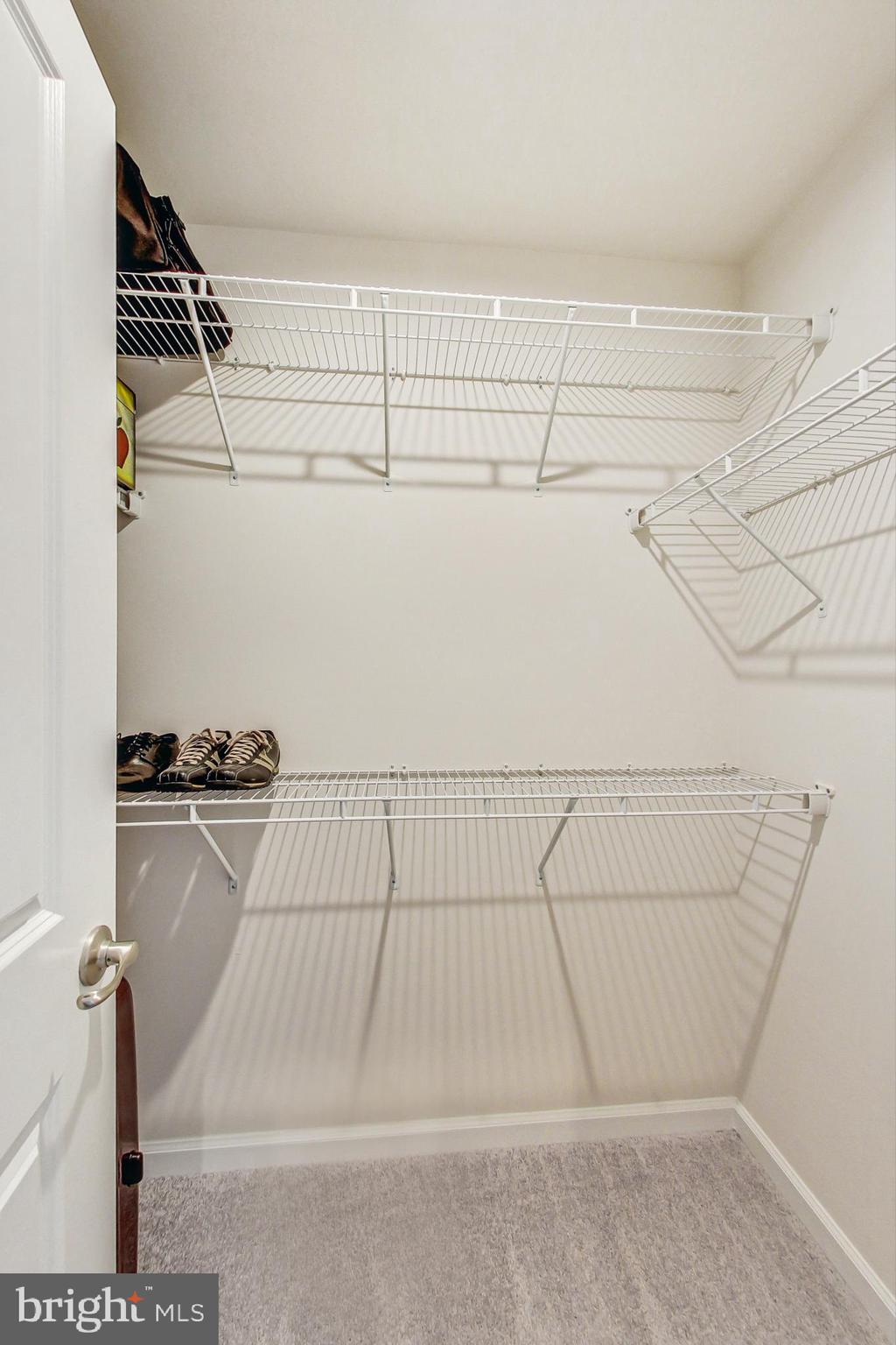 4513 Cotswold Manor Loop Woodbridge, VA 22192 - Photo 31 of 73 PBR: Walk-in closet #2