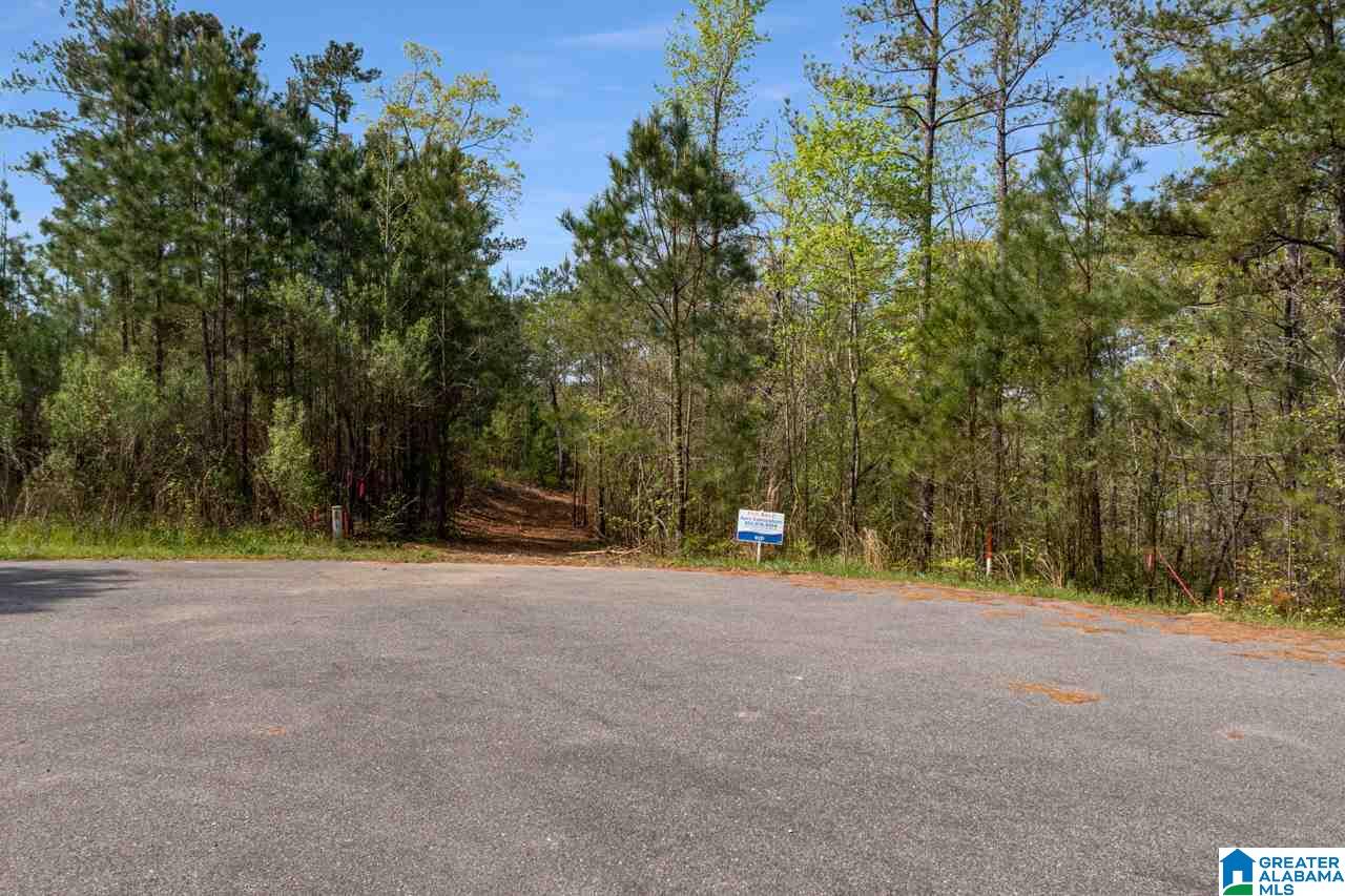 Stillwaters Trail Sylacauga, AL 35151 - Photo 3 of 30