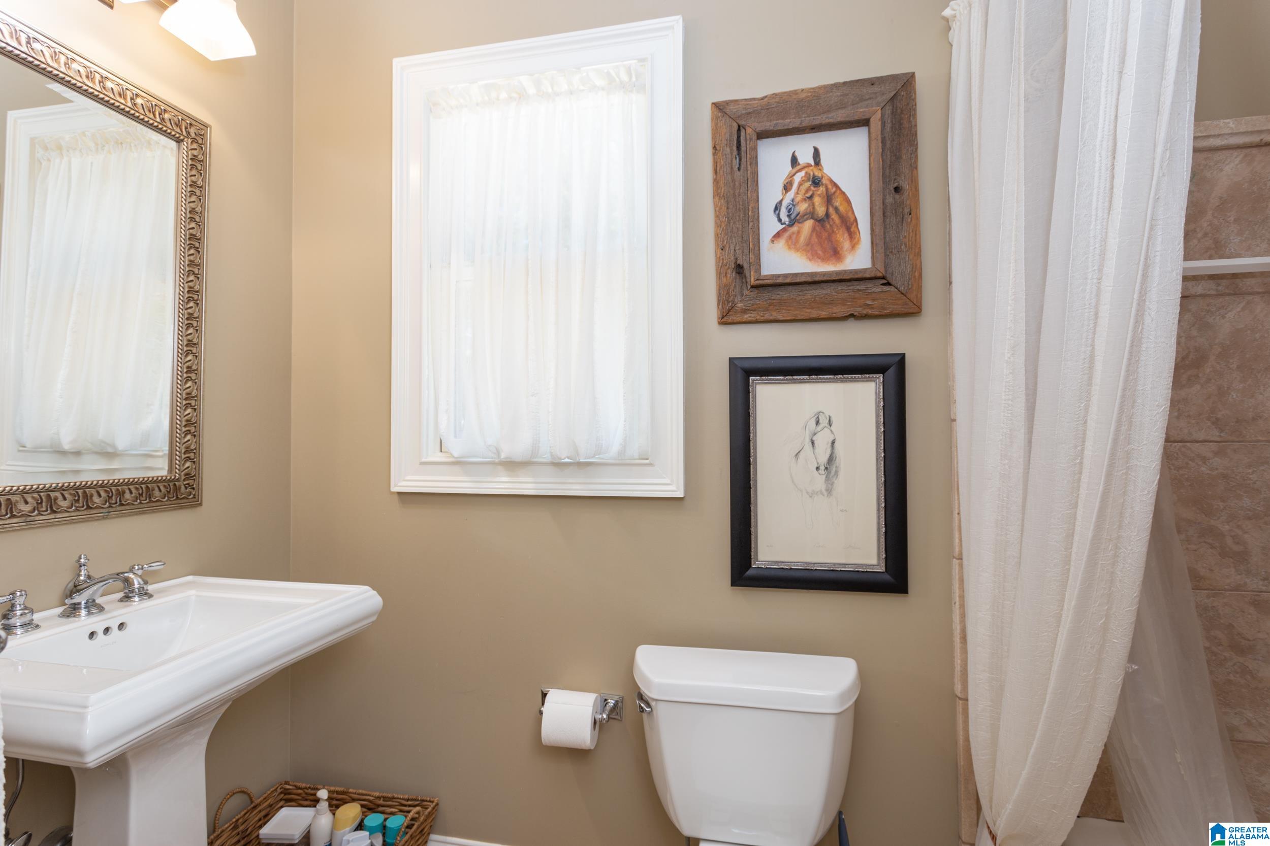 2475 Mountain View Road Odenville, AL 35120 - Photo 19 of 50