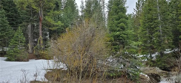 a view of a wooden fence and trees