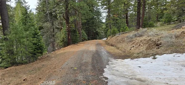 a view of a road with a tree in the background