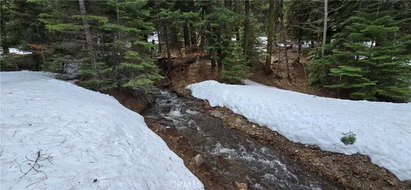 a view of a yard with plants and trees