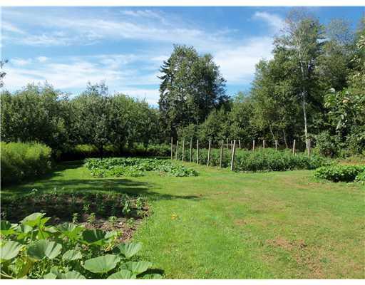 396 River Road Tenants Harbor, ME 04860 - Photo 4 of 16 Yard/Garden. Gardens galore on the...