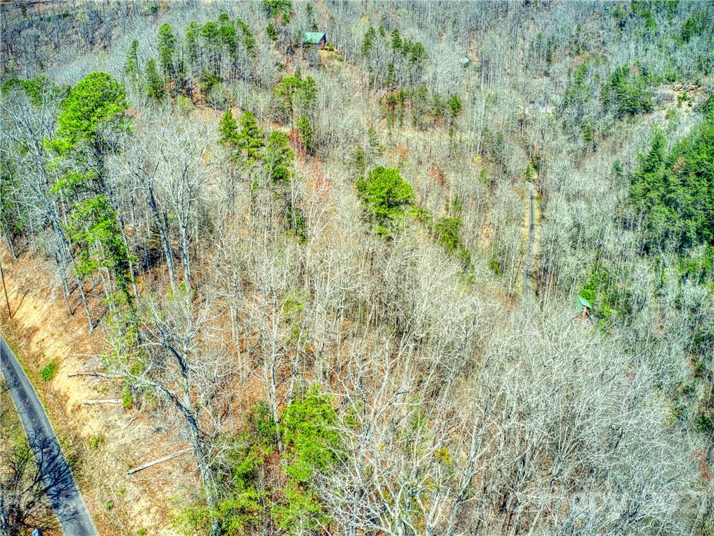 0 Ridge Top Drive Bryson City, NC 28713 - Photo 2 of 20 a view of a forest with a tree
