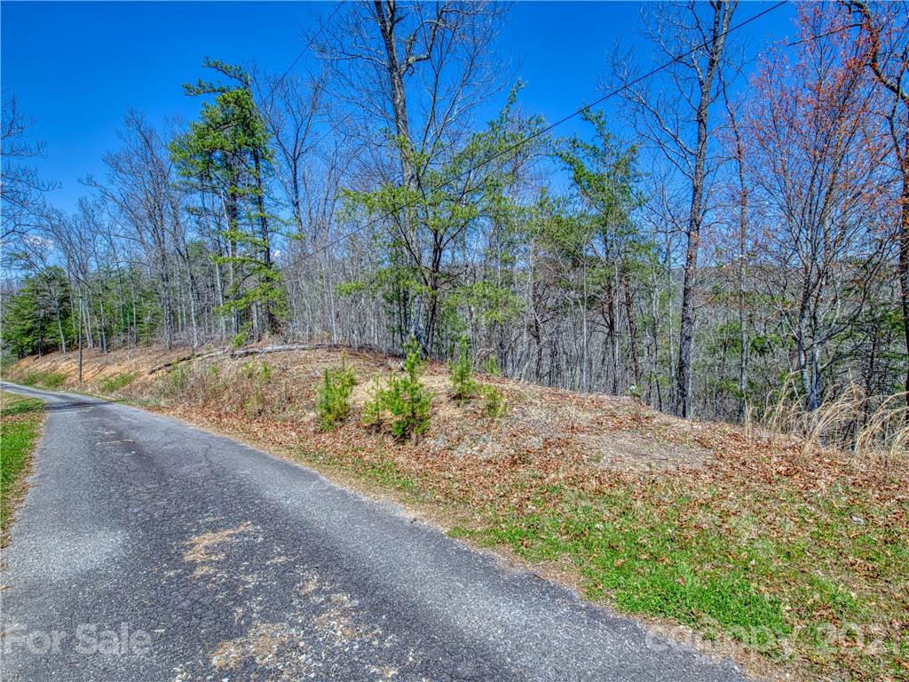 0 Ridge Top Drive Bryson City, NC 28713 - Photo 11 of 20