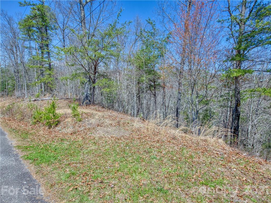 0 Ridge Top Drive Bryson City, NC 28713 - Photo 12 of 20 a backyard of a house with trees and wooden fence