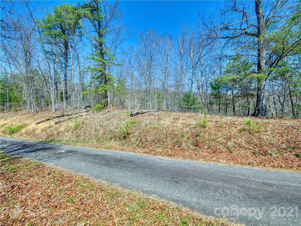 0 Ridge Top Drive Bryson City, NC 28713 - Photo 13 of 20 a view of a yard with large trees