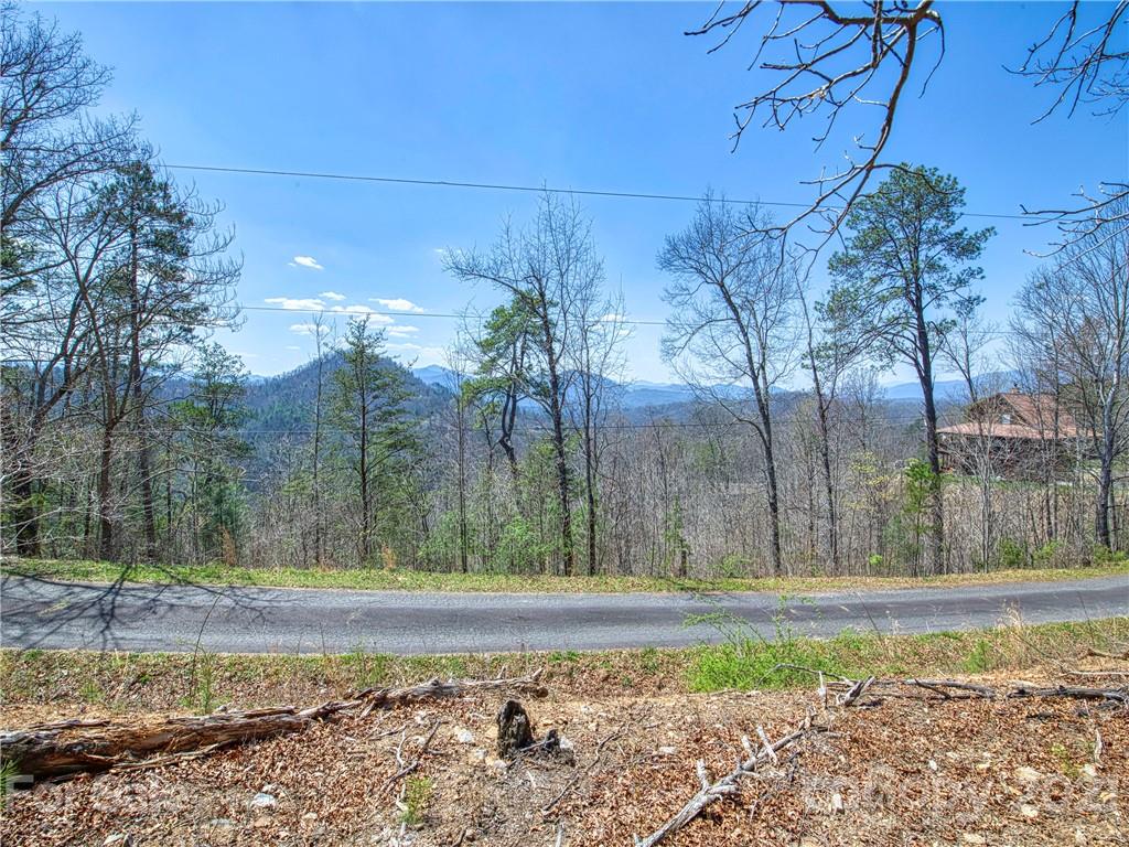 0 Ridge Top Drive Bryson City, NC 28713 - Photo 14 of 20 a view of a backyard