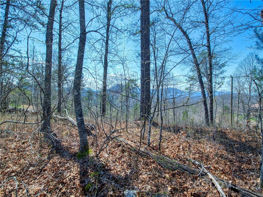 0 Ridge Top Drive Bryson City, NC 28713 - Photo 17 of 20 a backyard of a house with lots of green space