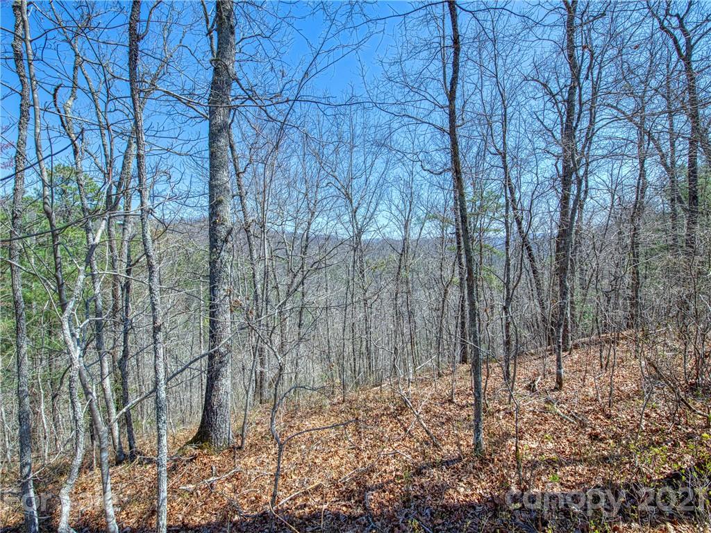 0 Ridge Top Drive Bryson City, NC 28713 - Photo 19 of 20 a backyard of a house with lots of green space