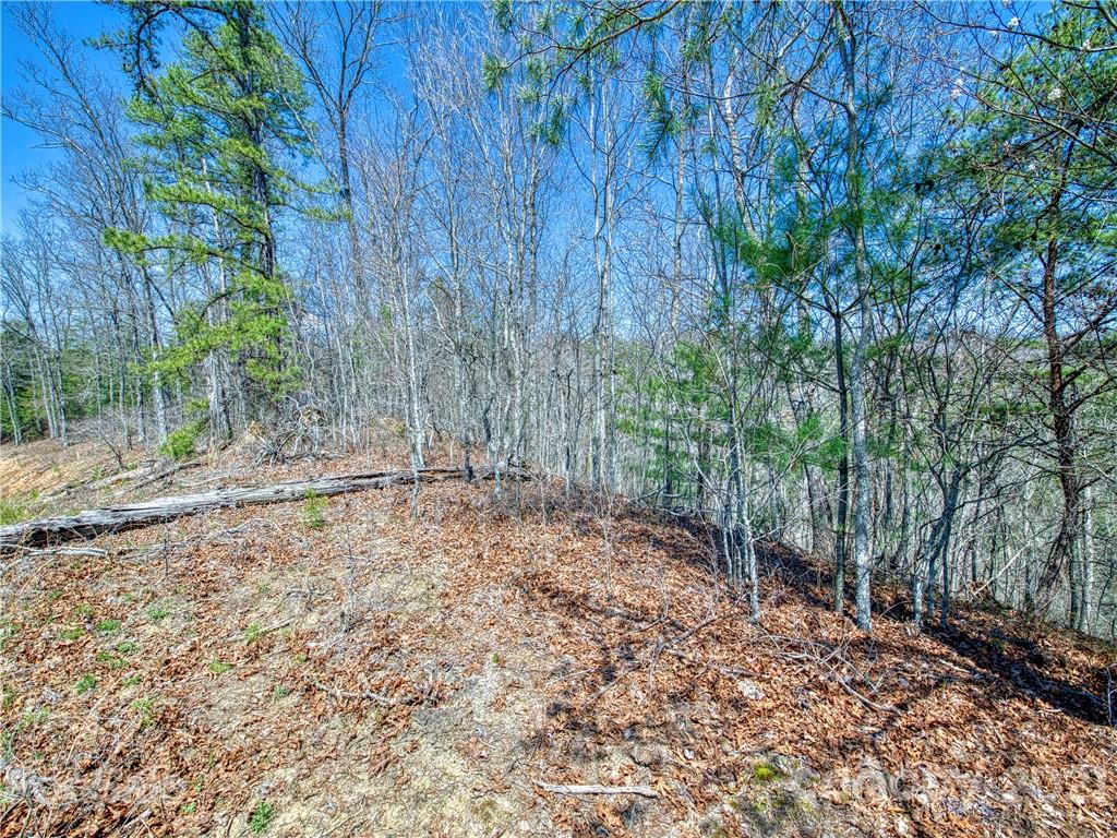 0 Ridge Top Drive Bryson City, NC 28713 - Photo 20 of 20 a view of a yard with trees