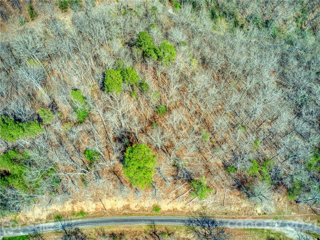 0 Ridge Top Drive Bryson City, NC 28713 - Photo 3 of 20 a view of a yard with plants