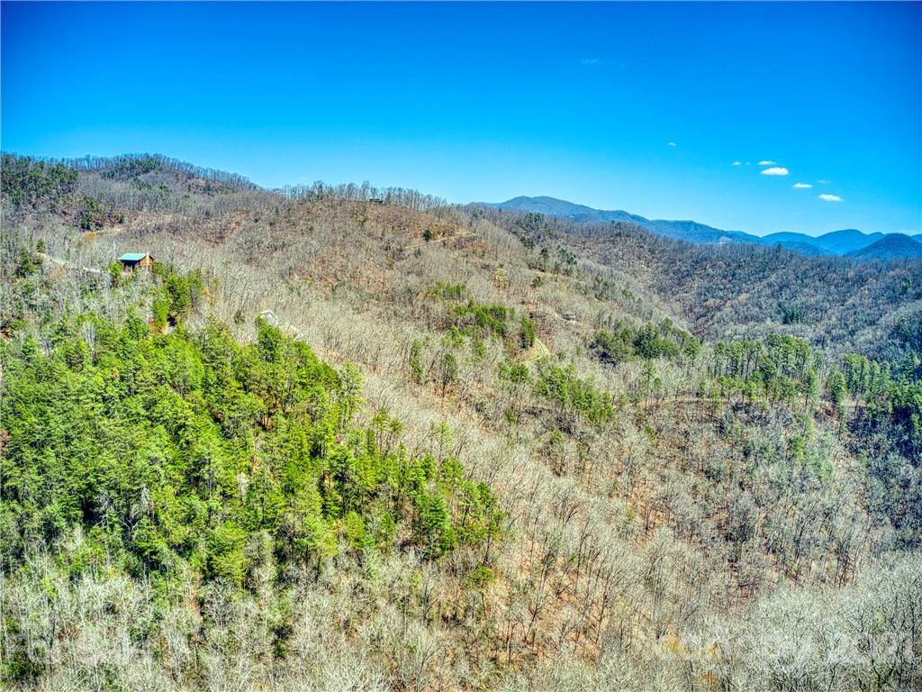0 Ridge Top Drive Bryson City, NC 28713 - Photo 8 of 20 a view of a mountain in the distance in a field