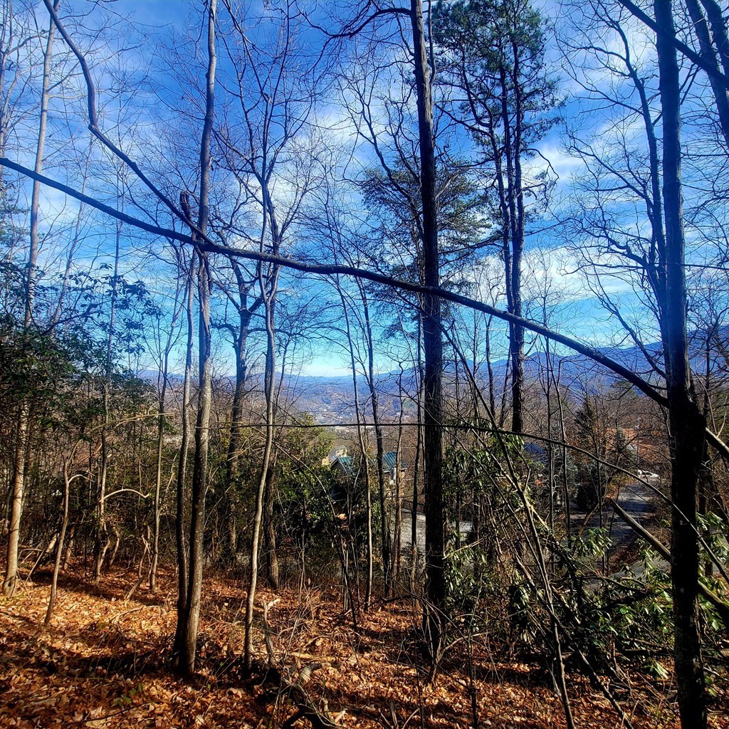 17 Zurich Road Gatlinburg, TN 37738 - Photo 7 of 24