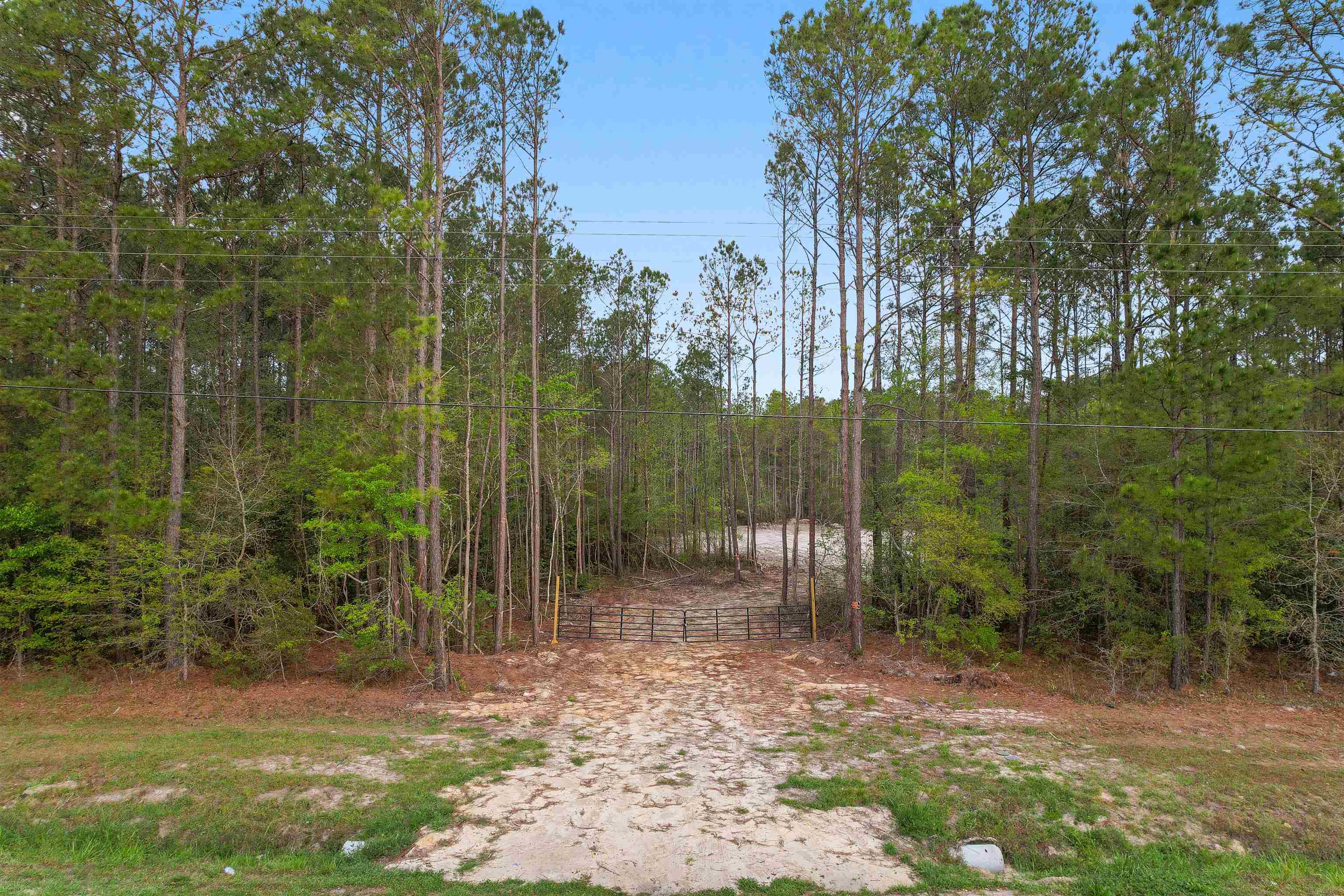 835 Indian Hut Road Georgetown, SC 29440 - Photo 2 of 19