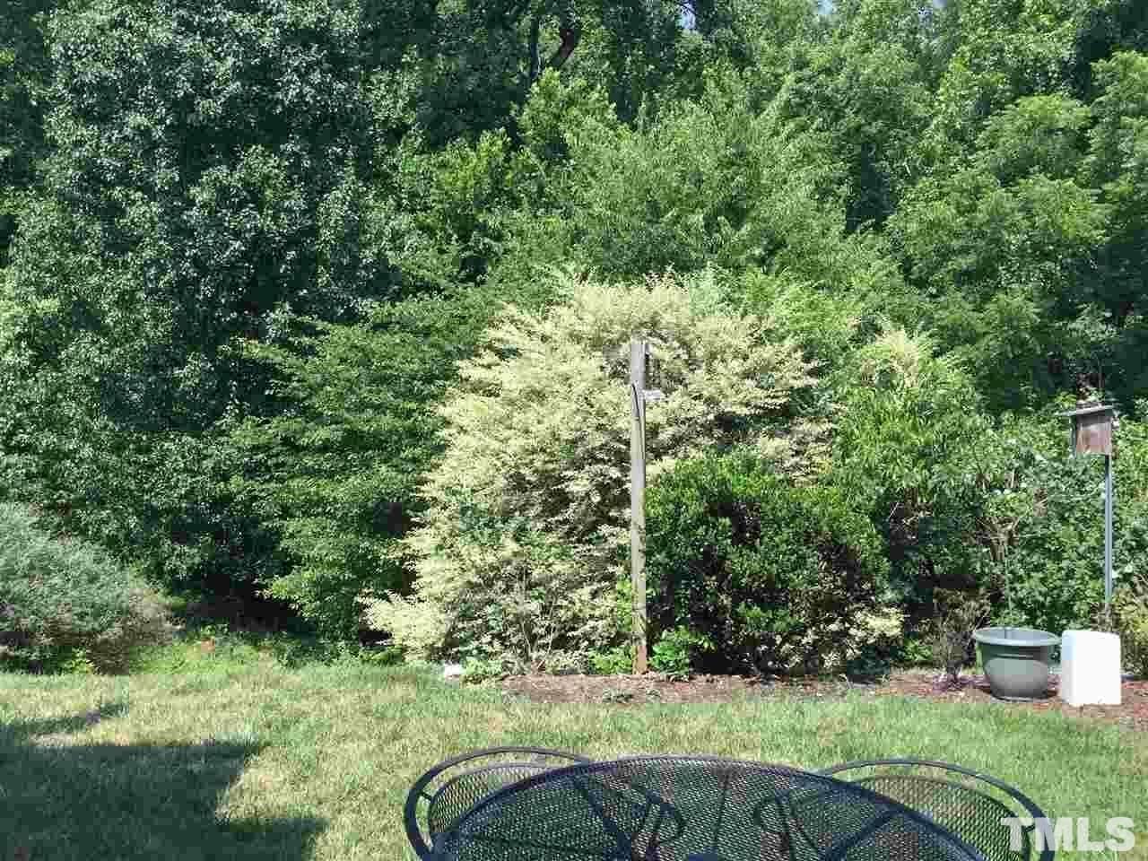 8605 London Park Court Raleigh, NC 27615 - Photo 18 of 18 a view of a garden with a fountain