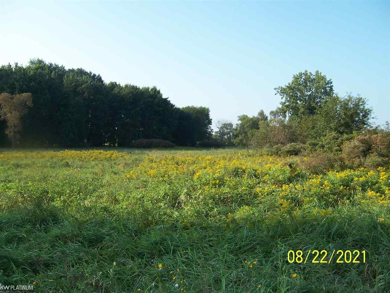 Sullivan Road Capac, MI 48014 - Photo 3 of 7