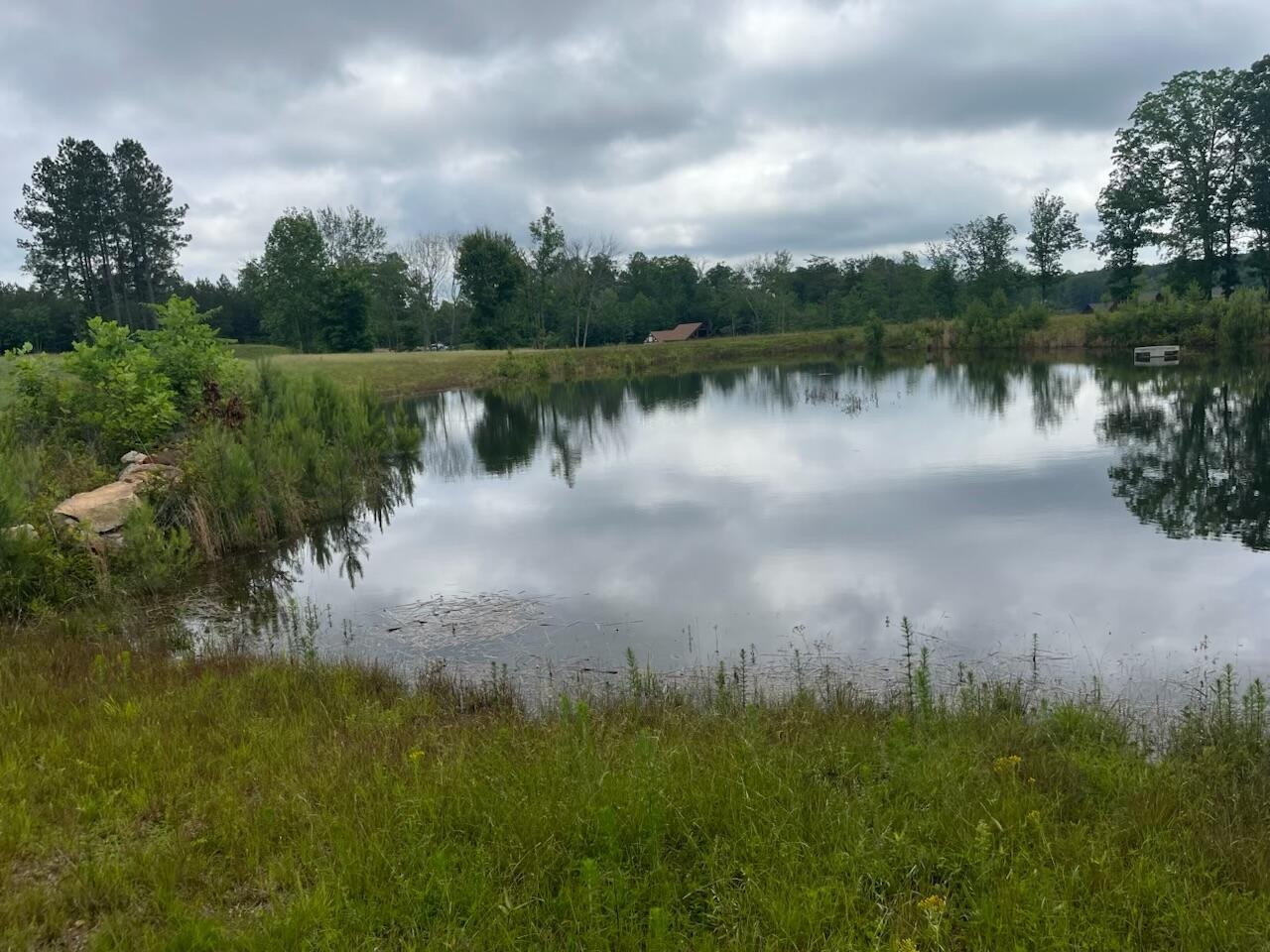 350 Crockett Loop Jasper, TN 37347 - Photo 12 of 55 a view of a lake from a yard
