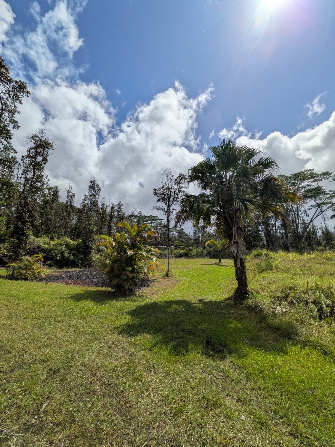 847 Molokai Road Pahoa, HI 96778 - Photo 2 of 24 Gallery Image 2