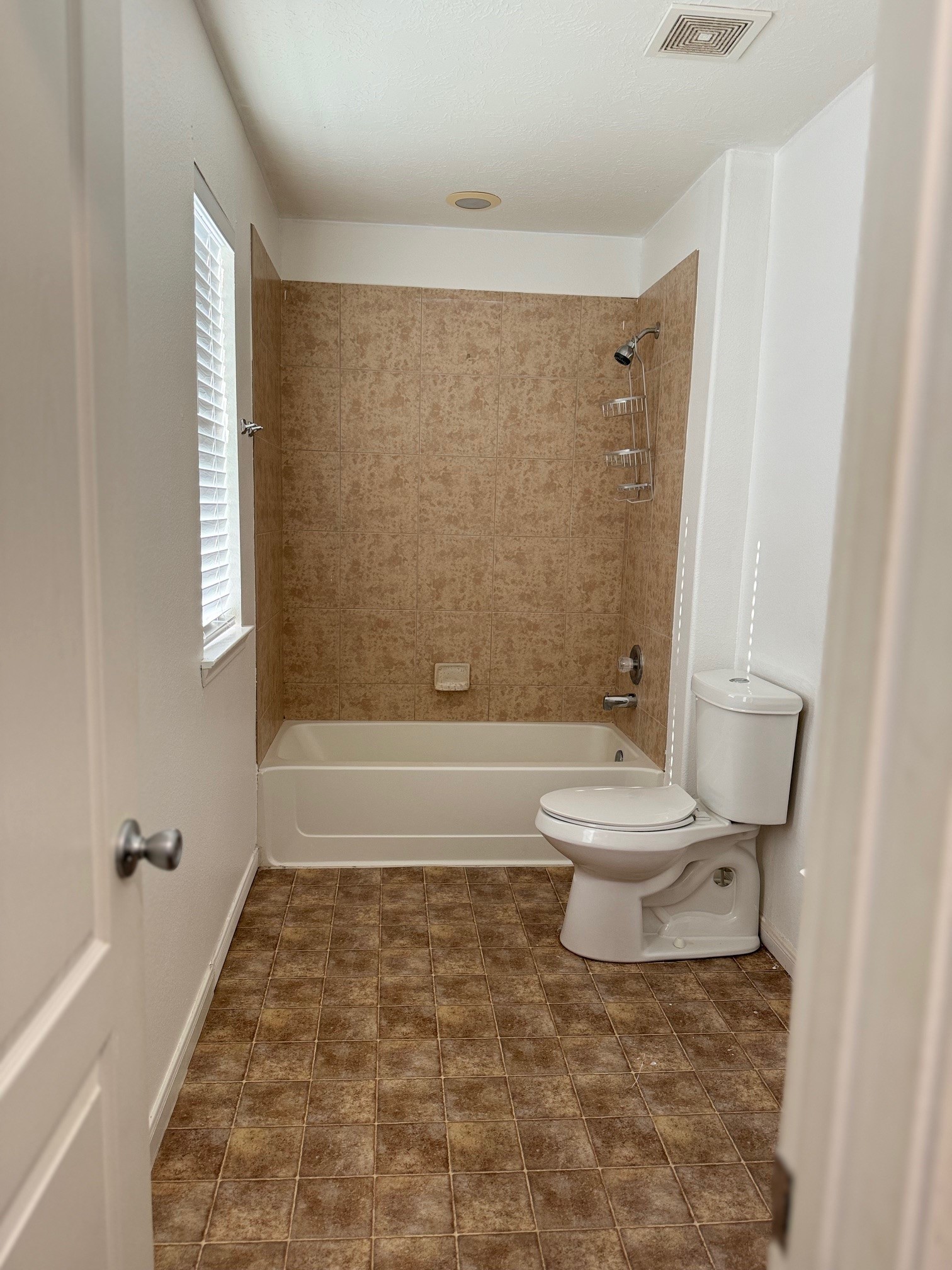 3403 Braddock Lane Manvel, TX 77578 - Photo 17 of 18