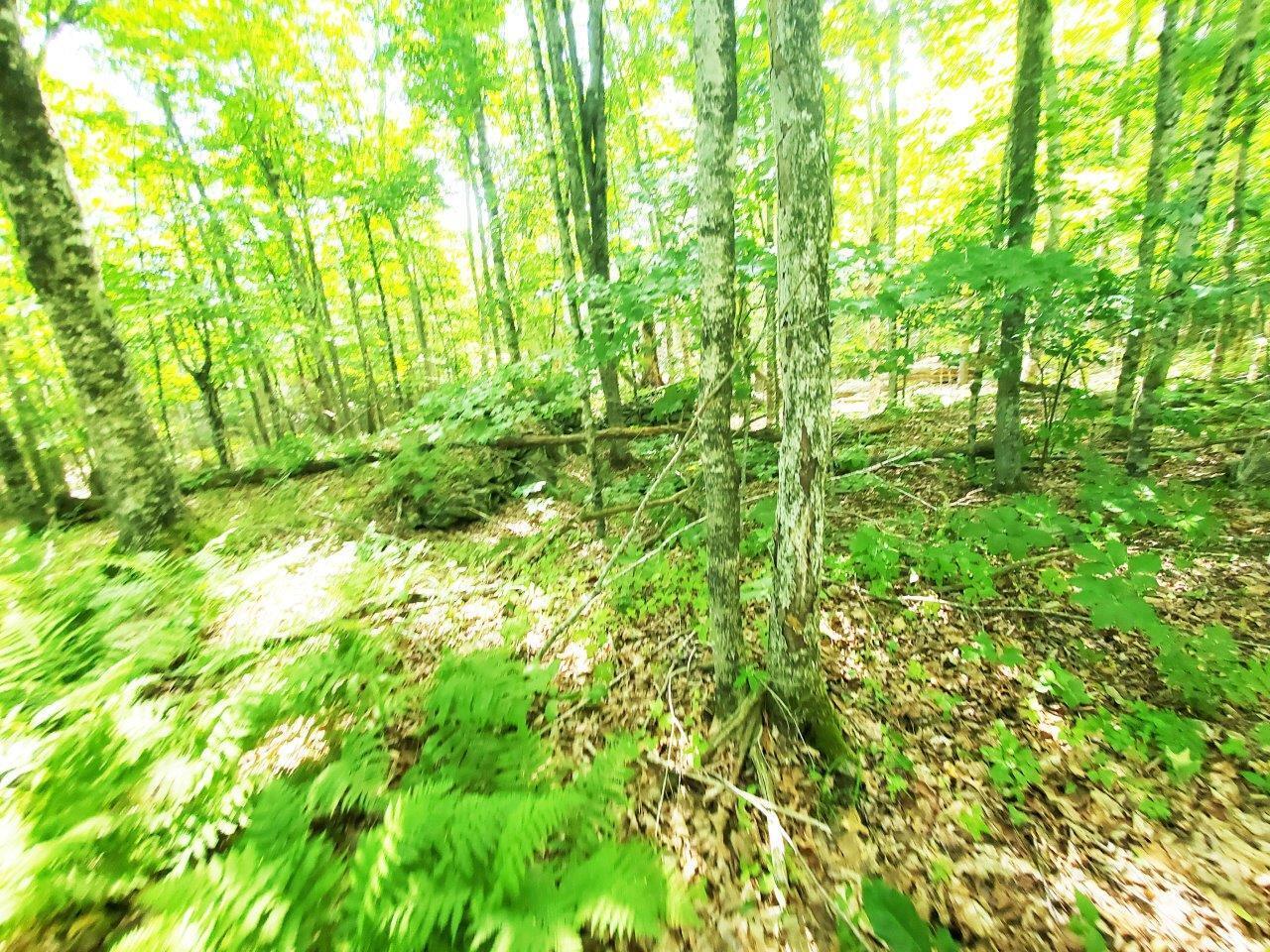 501 Pullen Woods Road Palermo, ME 04354 - Photo 44 of 62 20260717_151823 A