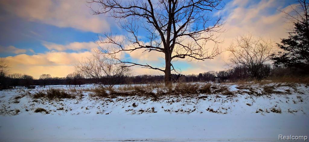 10 Wasson Road Gregory, MI 48137 - Photo 22 of 28