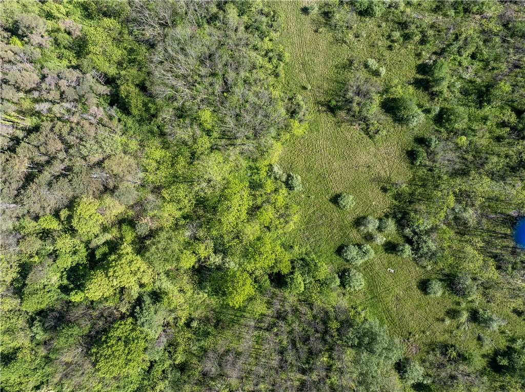 0 Esperanza Road Keuka Park, NY 14478 - Photo 3 of 17