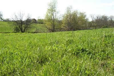 101 Spring Island Drive Georgetown, KY 40324 - Photo 2 of 5 Photo 2