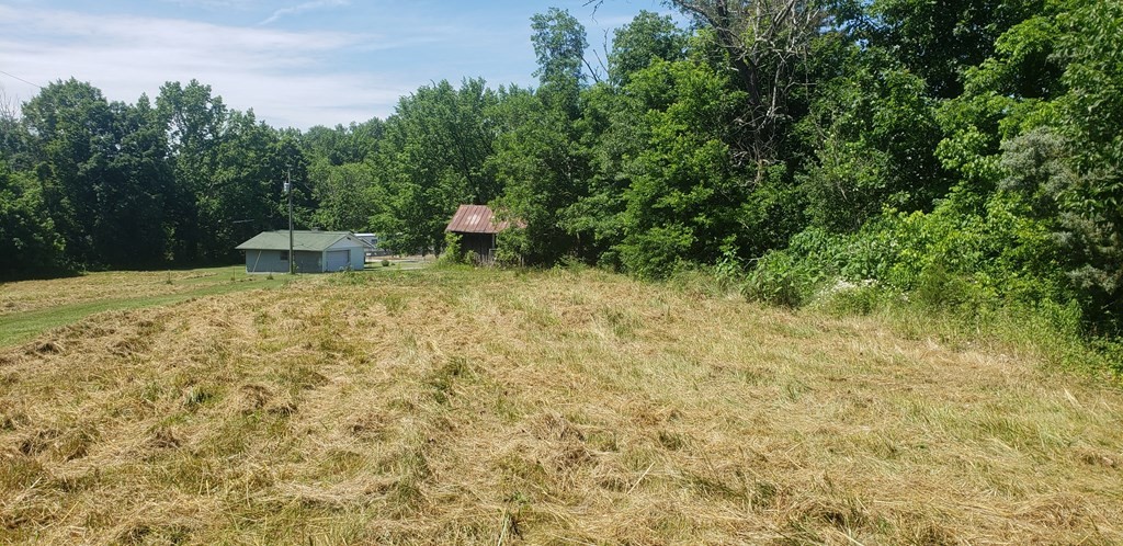 2 South Flat Creek Road Sevierville, TN 37876 - Photo 5 of 14