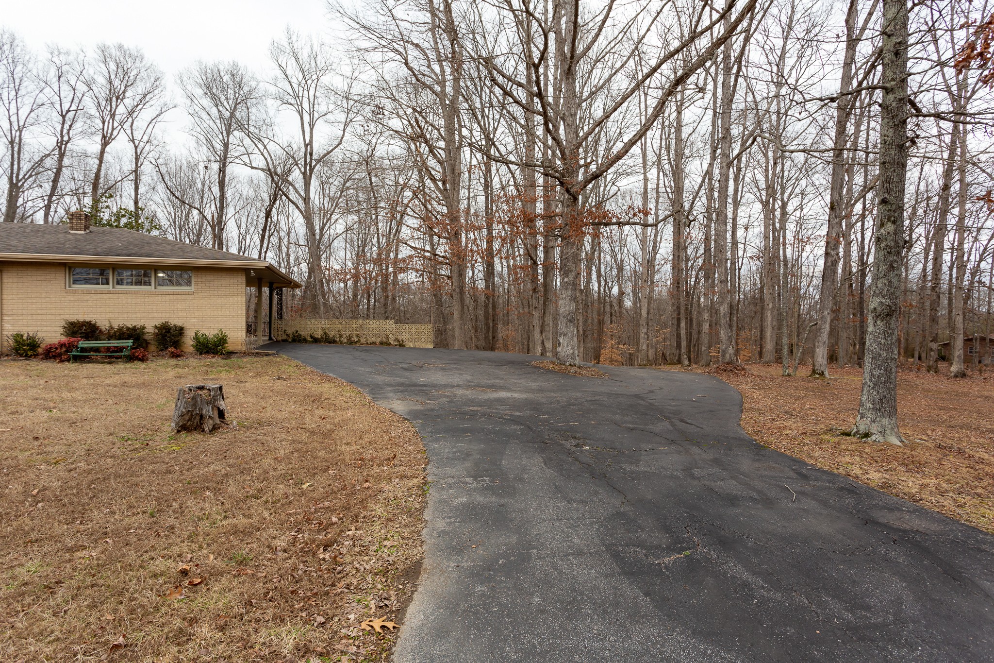 133 Byrd Road Dover, TN 37058 - Photo 24 of 35 a view of a yard with large trees