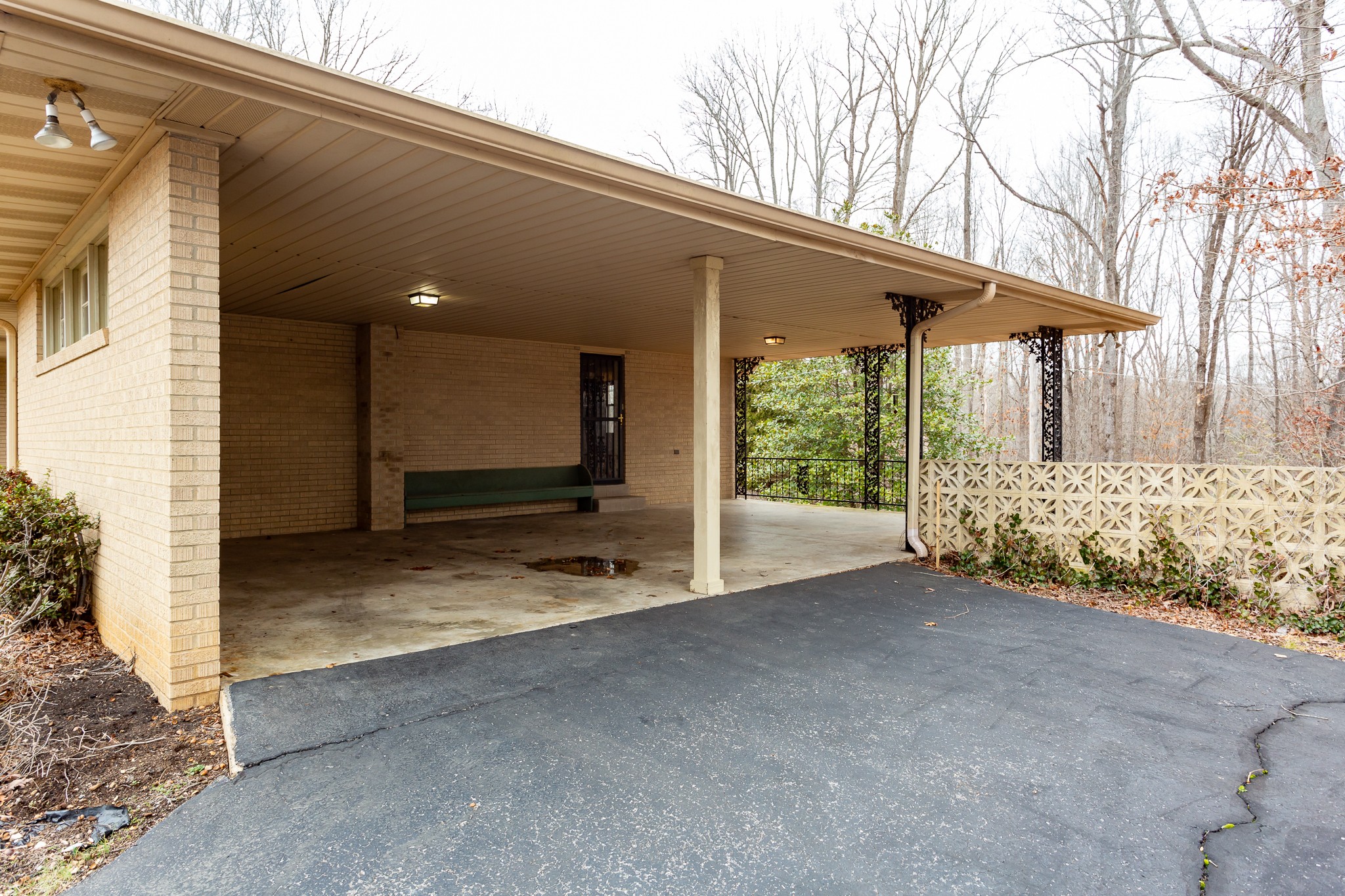 133 Byrd Road Dover, TN 37058 - Photo 26 of 35 a view of backyard with large tree