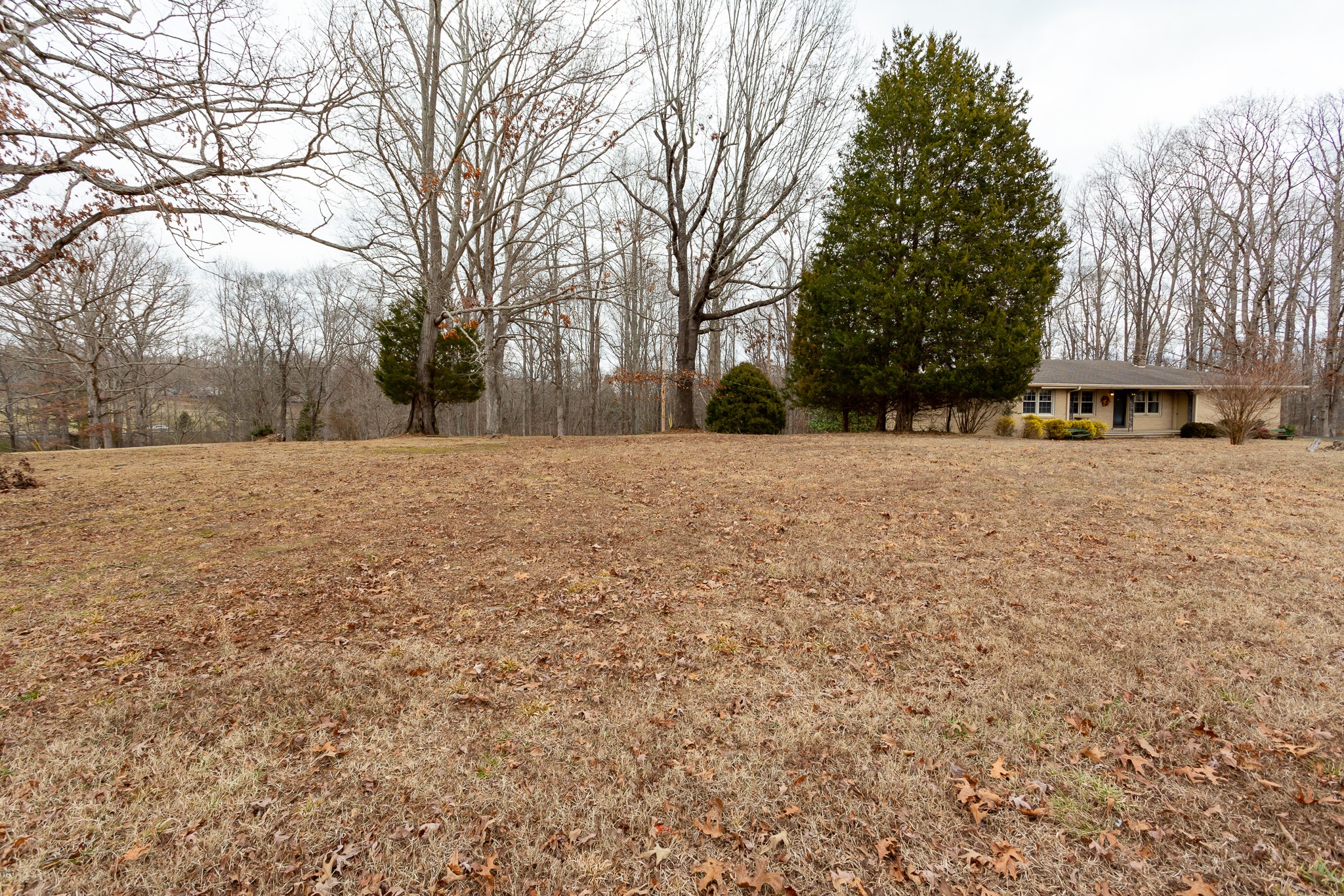 133 Byrd Road Dover, TN 37058 - Photo 30 of 35 a view of patio with a yard