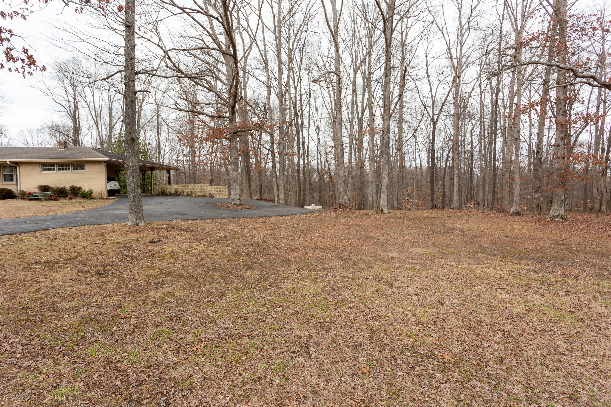 133 Byrd Road Dover, TN 37058 - Photo 31 of 35 a backyard of a house with lots of green space